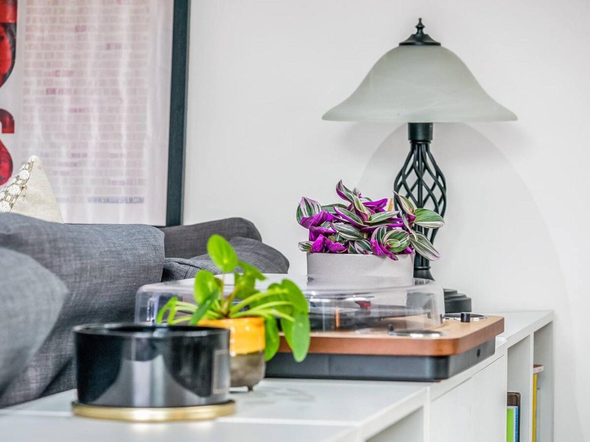 Appartement Pass The Keys Modern Terrace In Putney Londen
